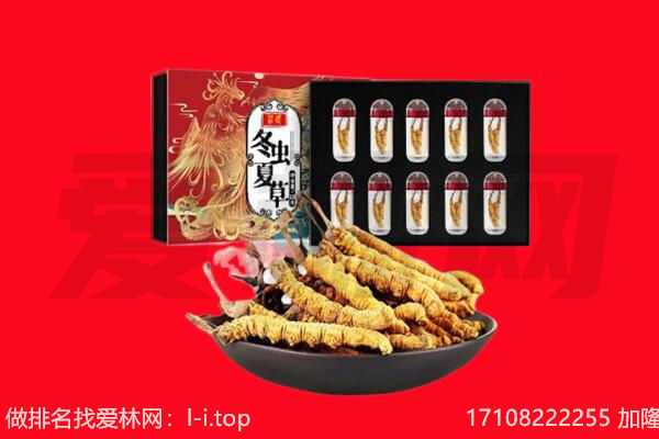 辉南县回收虫草.jpg